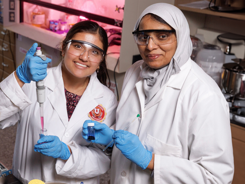 mega panalo online casino